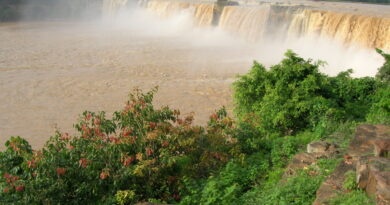 चित्रकोट एनीकट — जहाँ सीमेंट भी कहानी गढ़ता है