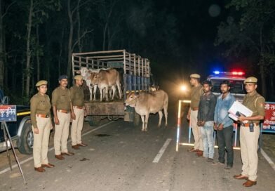 गौ-तस्करी के खिलाफ बलरामपुर पुलिस सख्त, तस्करों पर लगातार कार्रवाई